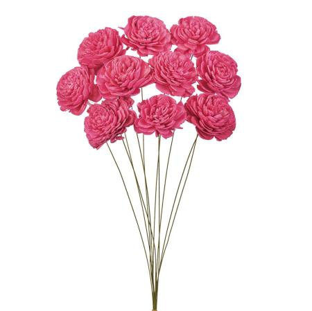 特価◎【ドライ】ソーラーローズ・小 トロピカルピンク /FD032081-028