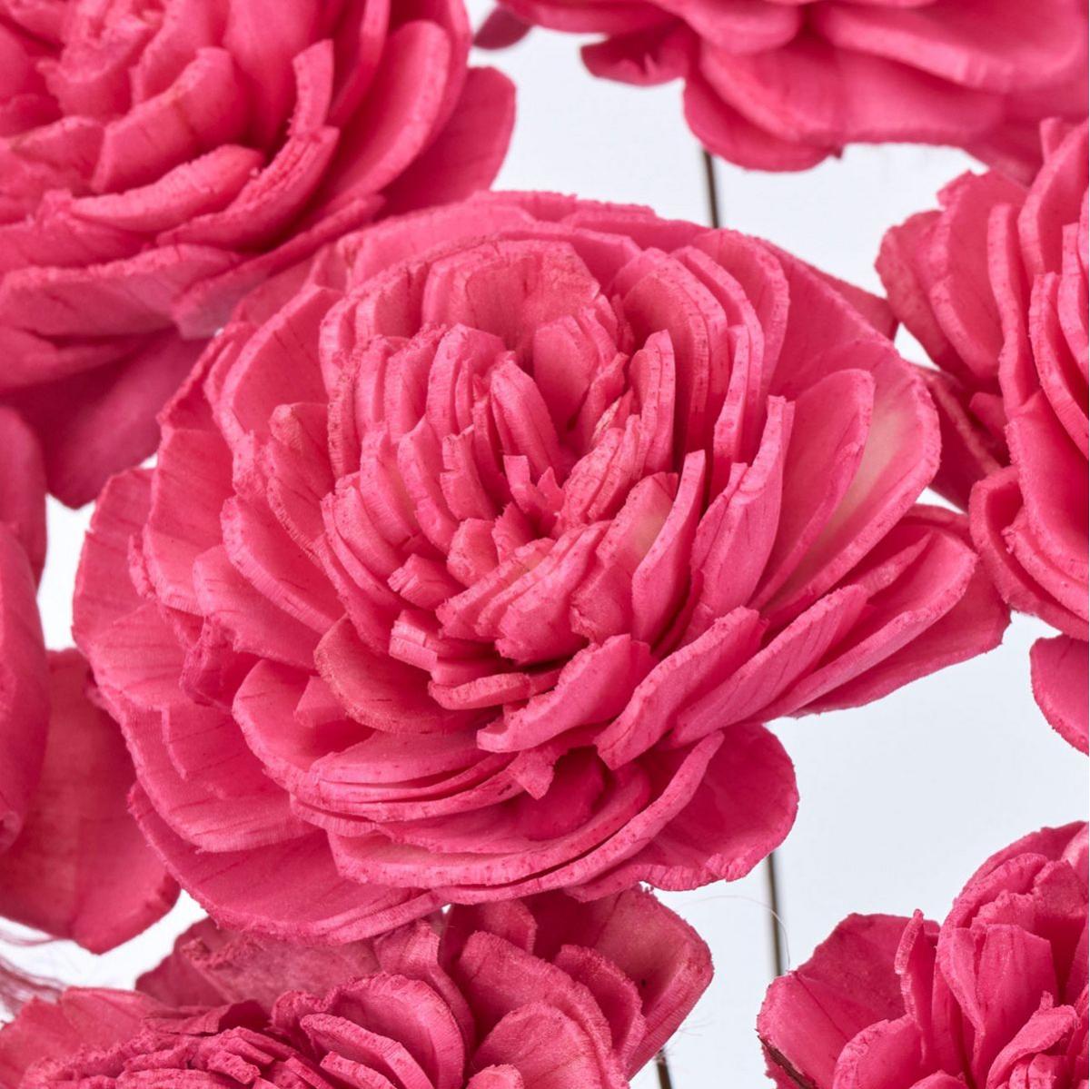 特価◎【ドライ】ソーラーローズ・小 トロピカルピンク /FD032081-028