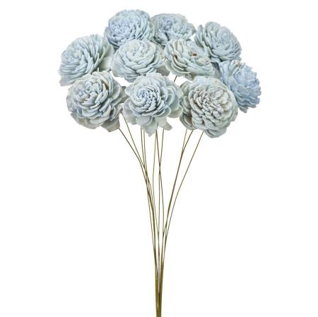 【ドライ】ソーラーローズ・小 フロストブルー /FD032081-134