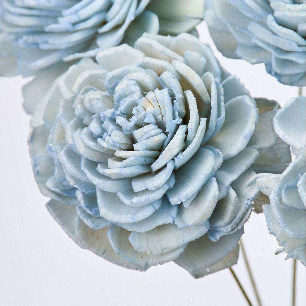 【ドライ】ソーラーローズ・小 フロストブルー /FD032081-134