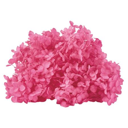 【プリザーブド】ソフトあじさいアナベル トロピカルピンク /FD004730-028