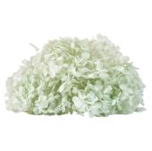 【プリザーブド】ソフトあじさいアナベル アイスグレー /FD004730-151