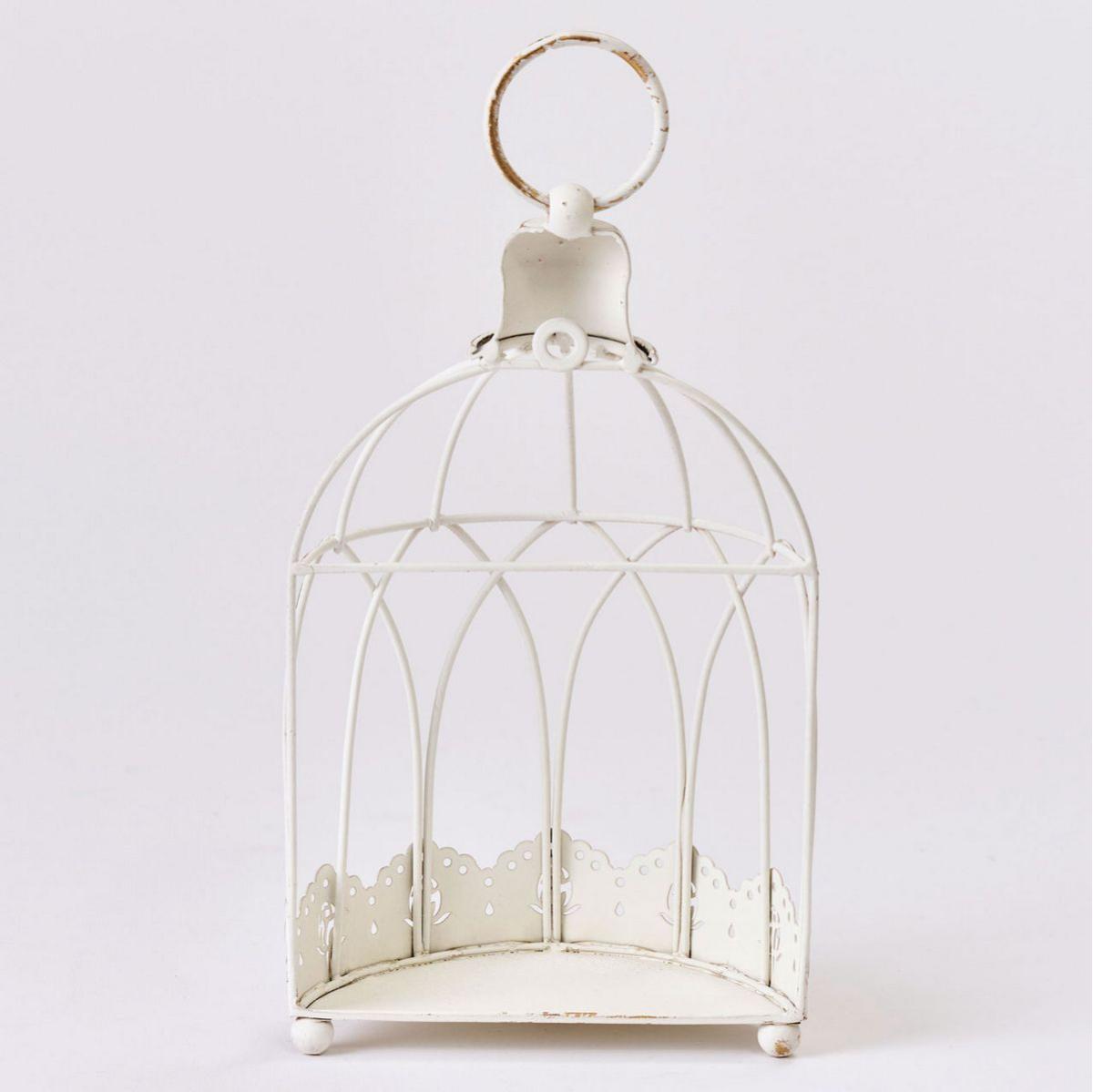 東京堂/エタンハーフバードゲージ  /CX002107