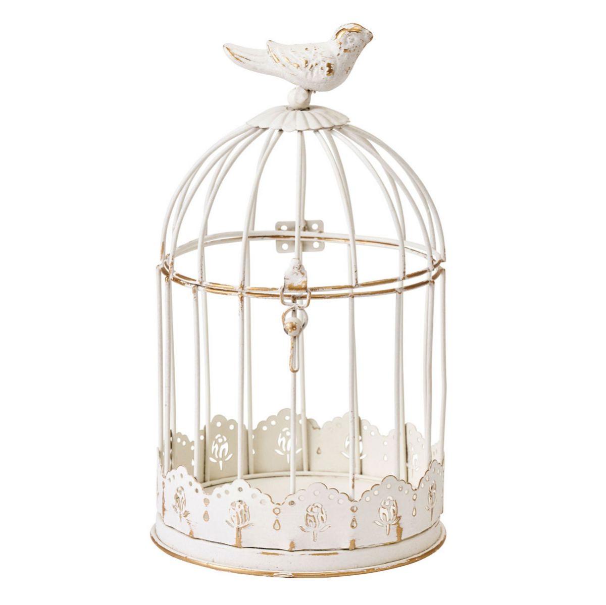 東京堂/エタンバードゲージ  /CX002108