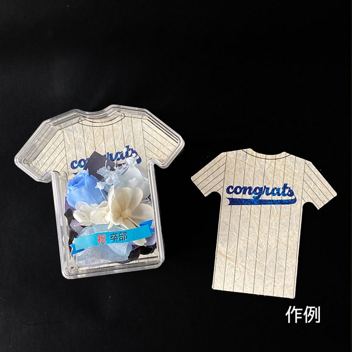 特価◎Hacocoro/カミーチャ クリア /HC108CL