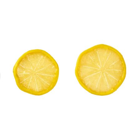 ドライレモンスライス YELLOW イエロー/FV003681