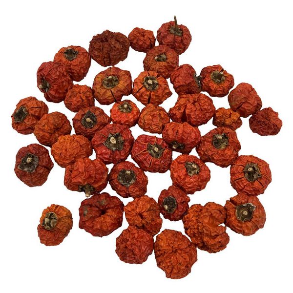 【ドライ】東京堂/風の花 ソラナムパンプキン ヘッド/DN000206