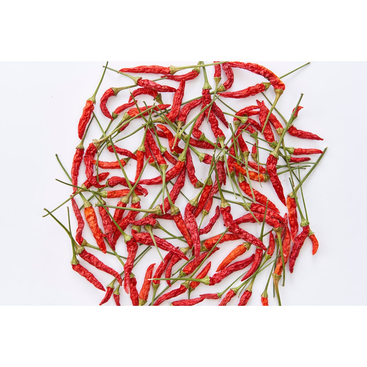 【ドライ】東京堂/風の花 トウガラシミニミニ/DN120023