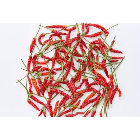 【ドライ】東京堂/風の花 トウガラシミニミニ/DN120023