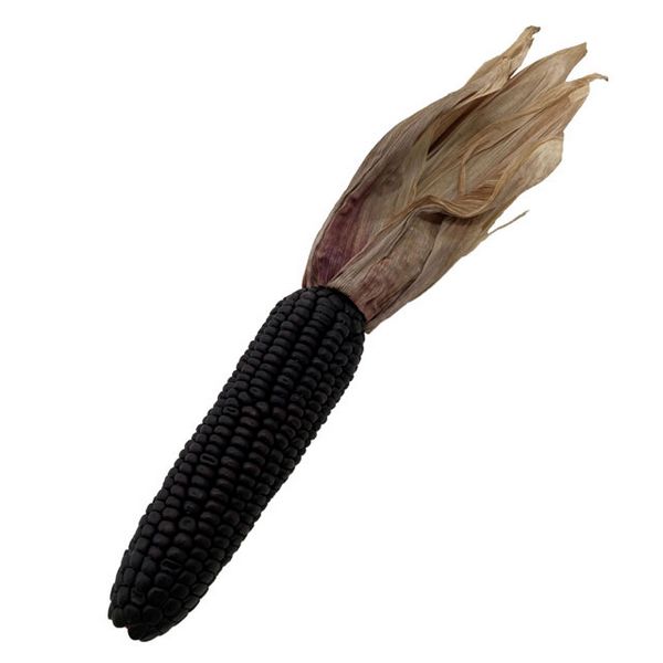 【ドライ】東京堂/風の花 紫コーン/DN120026