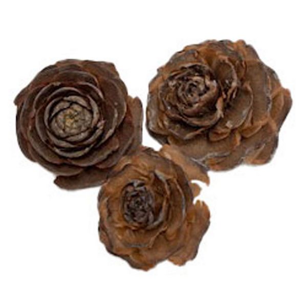 【ドライ】東京堂/風の花 ヒマラヤスギアソート/DN200012