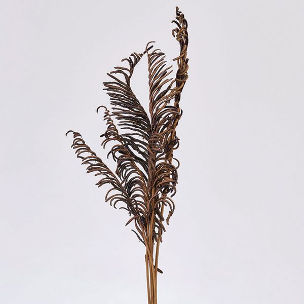 【ドライ】東京堂/風の花 ガンソク/DN220007