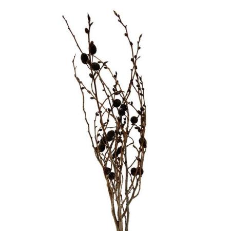 【ドライ】東京堂/風の花 ヤシャブシ/DN290001