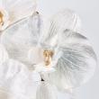 特価◎【造花】MAGIQ東京堂/ファレノデラックスベルべ/FJ004846-001