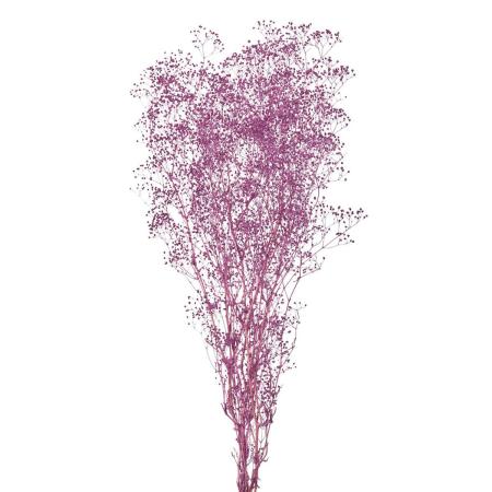 特価◎【プリザーブド】ミニカスミ草/FD004551-401