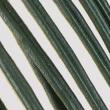 【造花】MAGIQ東京堂/ソテツL GREEN/FG003540