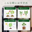 自然暮らし/水に溶かして速く効く粉末液肥　100g・20ml/1250605