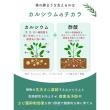 自然暮らし/水に溶かして速く効く粉末液肥　100g・20ml/1250605