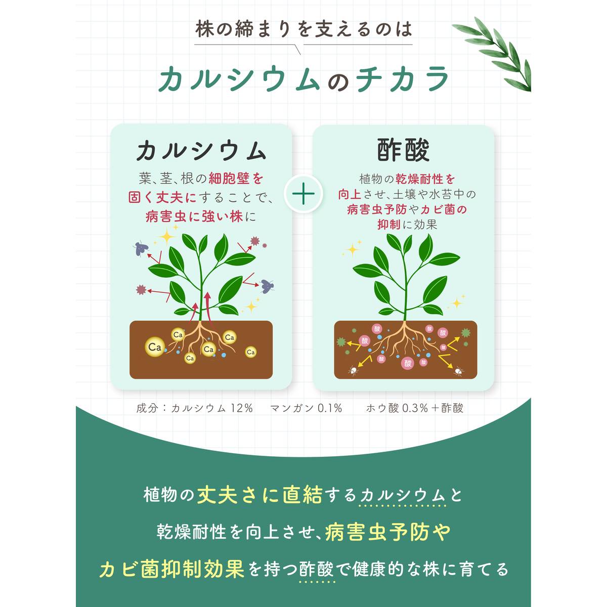 自然暮らし/水でうすめるカルシウム液肥　150ml/1250606