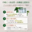 自然暮らし/水でうすめるカルシウム液肥　150ml/1250606