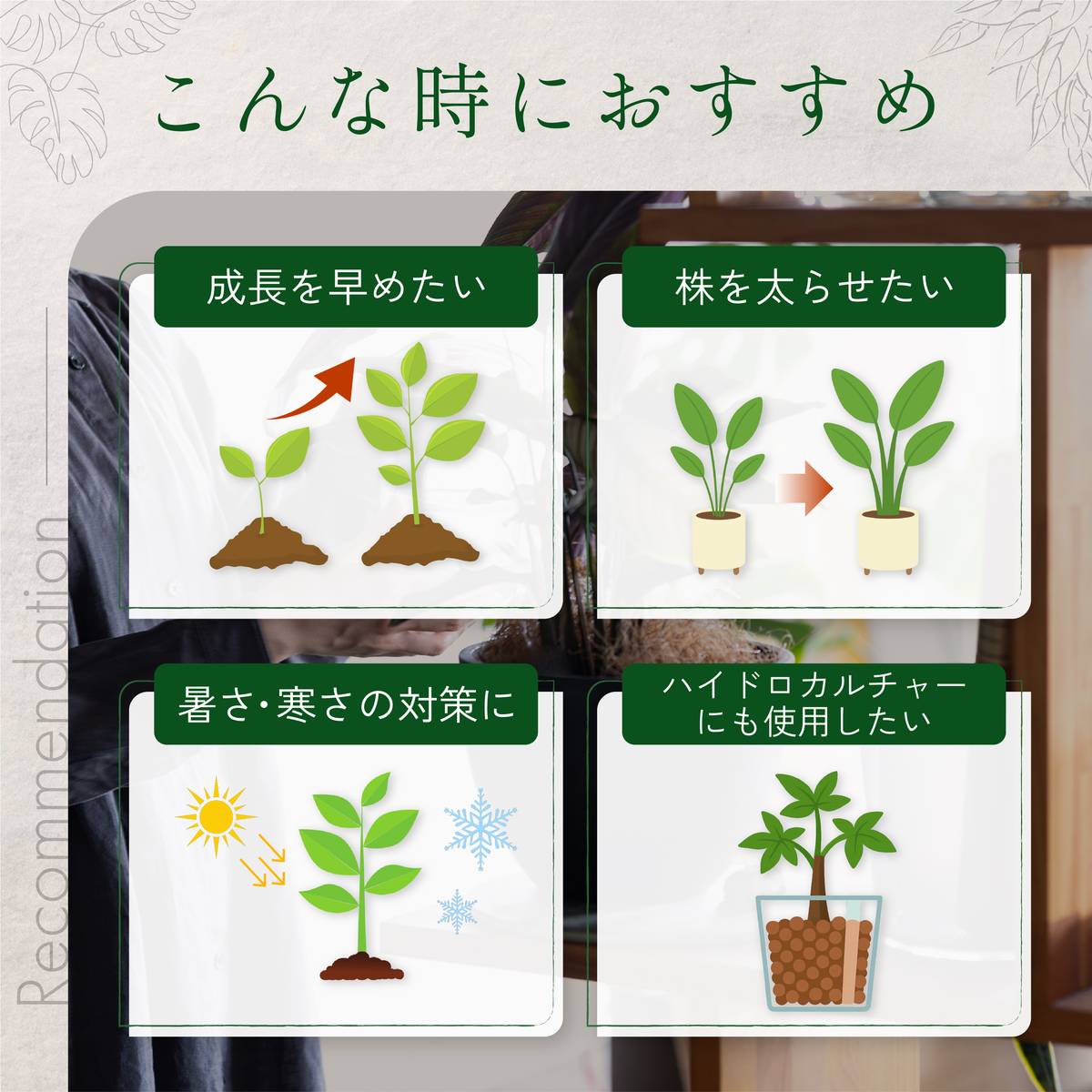 自然暮らし/水でうすめるカルシウム液肥　150ml/1250606