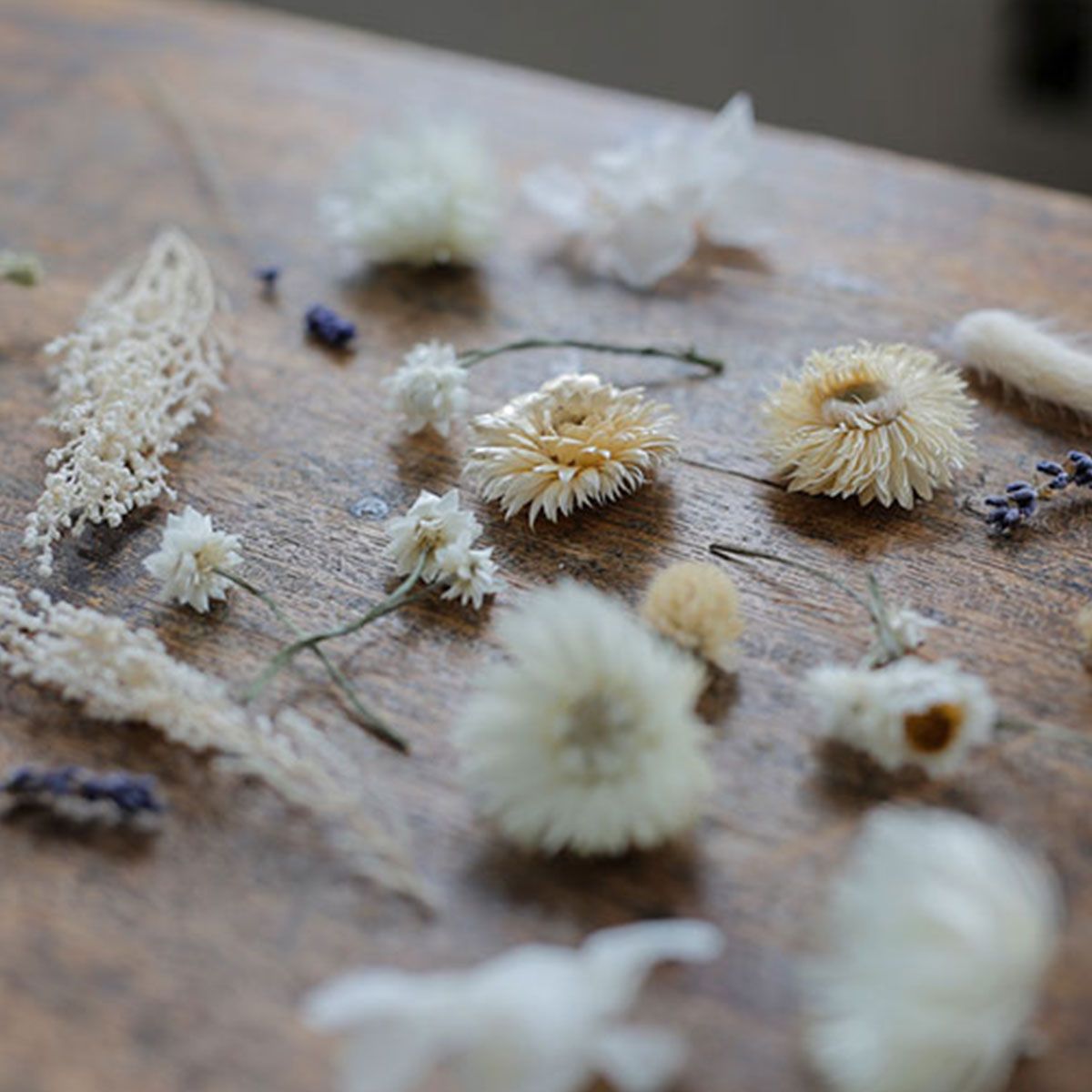 CraftieHome/わたし時間のボタニカルキャンドル(はじまりのホワイト)/C-01-CAN-00202-WT