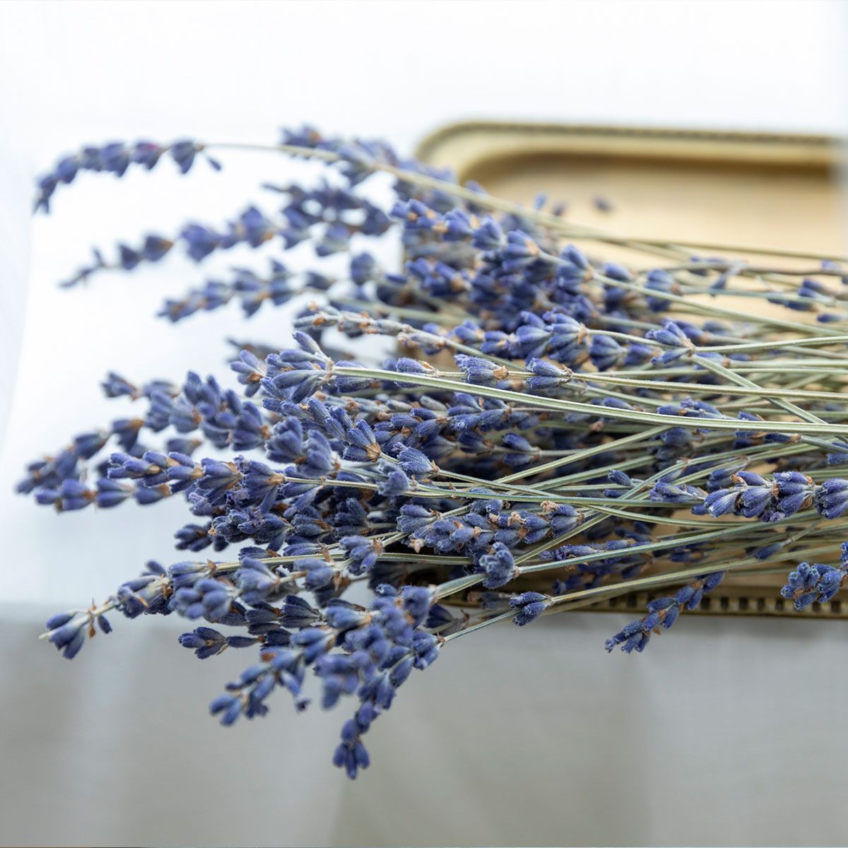 CraftieHome/ラベンダーのボタニカルキャンドル/C-01-CAN-00801-PL-01