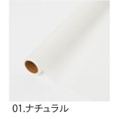 HOSHINO/アキラ NO.01 ナチュラル 65x15/331711 - 花材通販は