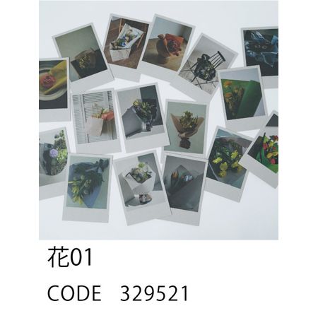 HOSHINO/HOSHINO POSTCARD 花01(16枚アソート)/329521