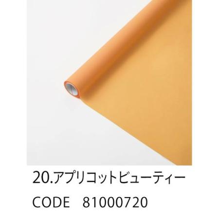 HOSHINO/FROSTY フロスティ 20 アプリコットビューティー 65x15/81000720