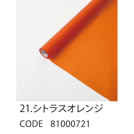 HOSHINO/FROSTY フロスティ 21 シトラスオレンジ 65x15/81000721