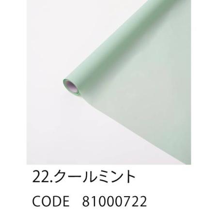 HOSHINO/FROSTY フロスティ 22 クールミント 65x15/81000722