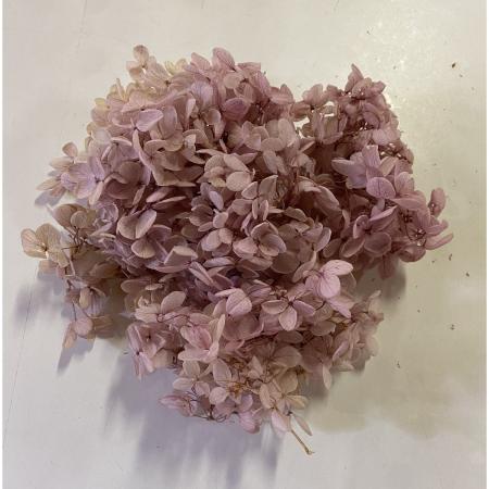 特価◎【プリザーブド】GARDEN PALETTE MONO/ピラミッドアジサイ グレープミックス 約15g/GPPB-03