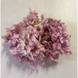 特価◎【プリザーブド】GARDEN PALETTE MONO/ピラミッドアジサイ グレープミックス 約15g/GPPB-03