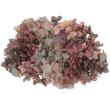 特価◎【プリザーブド】GARDEN PALETTE MONO/ピラミッドアジサイ グレープミックス 約15g/GPPB-03