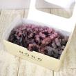 特価◎【プリザーブド】GARDEN PALETTE MONO/ピラミッドアジサイ グレープミックス 約15g/GPPB-03