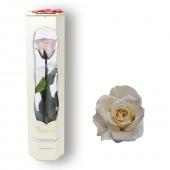 デザートローズ 新品未使用 大地農園・アソートローズ9輪【サラ】 | プリザーブドフラワーKnext