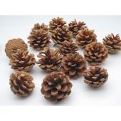 大特価◎即日★【ドライ】GARDEN PALETTE MONO/松かさ サイズアソート 約20コ N/GPDNC-001