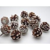 特価◎【ドライ】GARDEN PALETTE MONO/松かさ 約20コ スノー/GPDNC-014