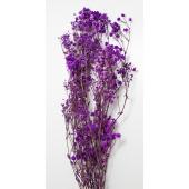 【プリザーブド】GARDEN PALETTE MONO/カスミ草 約20ｇ パープル/GPGE-08