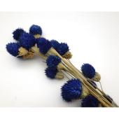 【ドライ】GARDEN PALETTE MONO/千日紅 約20本  ロイヤルブルー/GPSED-10