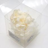 即日★ 【プリザーブド】【小分け】大地農園/ゆめアジサイ オフホワイト/00108ON