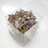 【プリザーブド】【小分け】大地農園/ピラミッドアジサイ オレガノパープル/00122ON