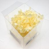 即日★【プリザーブド】【小分け】GARDEN PALETTE MONO/ピラミッドアジサイ シャンパン/00737GPP24