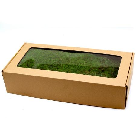 【プリザーブド】GARDEN PALETTE MONO/ファーンモス スプリンググリーン/GPM-51