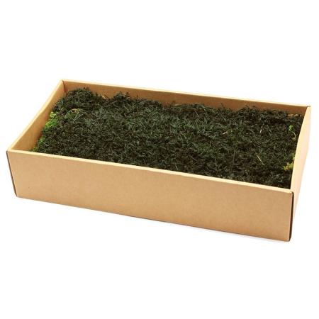 【プリザーブド】GARDEN PALETTE MONO/フラットモス(ハイゴケ) ディープグリーン/GPM-62