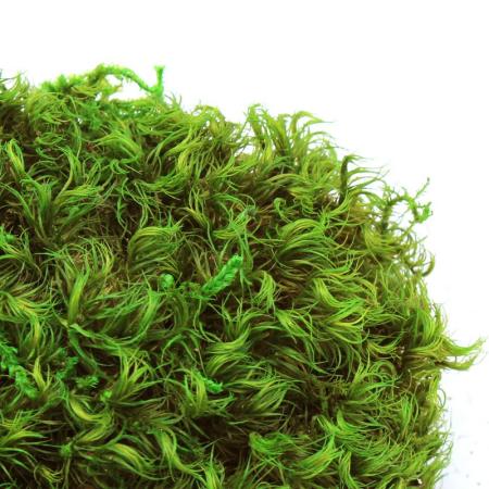 【プリザーブド】GARDEN PALETTE MONO/ヘアーモス(カモジコケ)グリーン/GPM-81