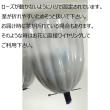 即日★大特価◎GARDEN PALETTE MONO/規格外品: ソルローズ S 10輪入  レッド