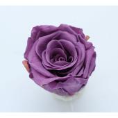 即日★大特価◎GARDEN PALETTE MONO/規格外品： ソルローズ S 10輪入  ディープライラック