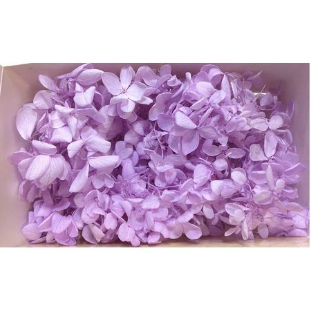 大特価◎【プリザーブド】GARDEN PALETTE MONO/ピラミッドアジサイ ライラック 1箱/GPP-03